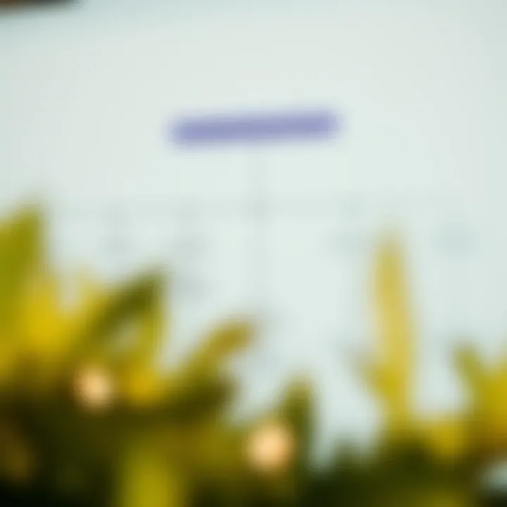 Flowchart illustrating the workflow of free backtesting tools for investors